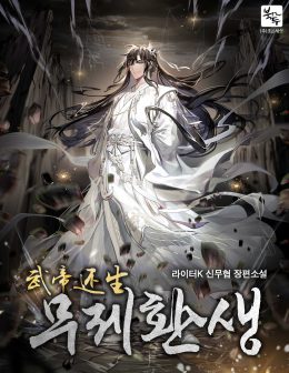 Untitled Reincarnation cover